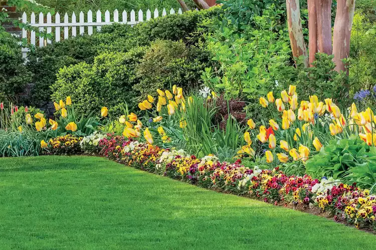 Landscape Edging Materials That Keep Garden Beds Looking Sharp Always